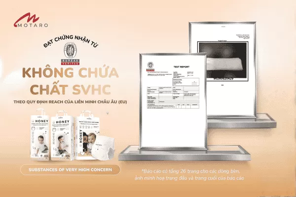 chung-nhan-svhc