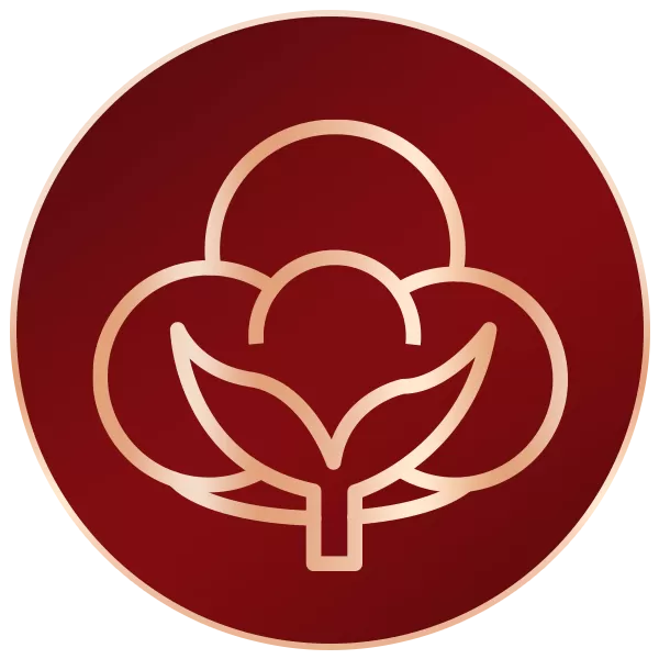 Thiết kế MICROPOROUS